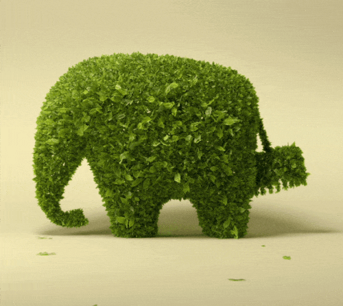 <b>Power of Green</b>